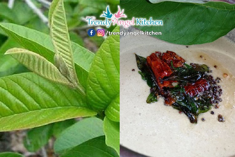 GuavaLeavesThambuli TrendyAngelKitchen