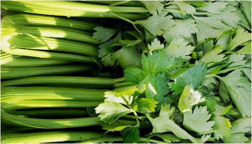 Health Tips - Celery