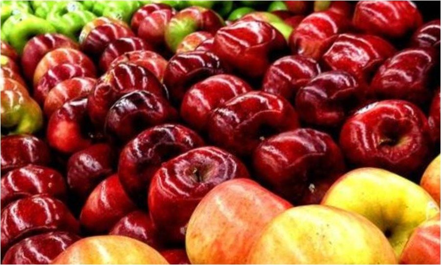 Healthy Food- Fruits- Apple