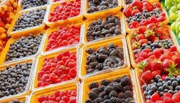 Healthy Food- Fruits- Berries