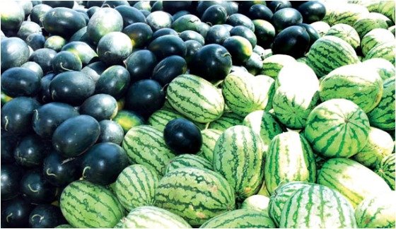Healthy Food- Fruits- Watermelon
