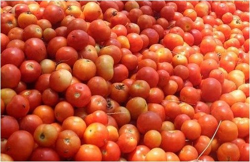 Healthy Food- Vegetable- Tomatoe-