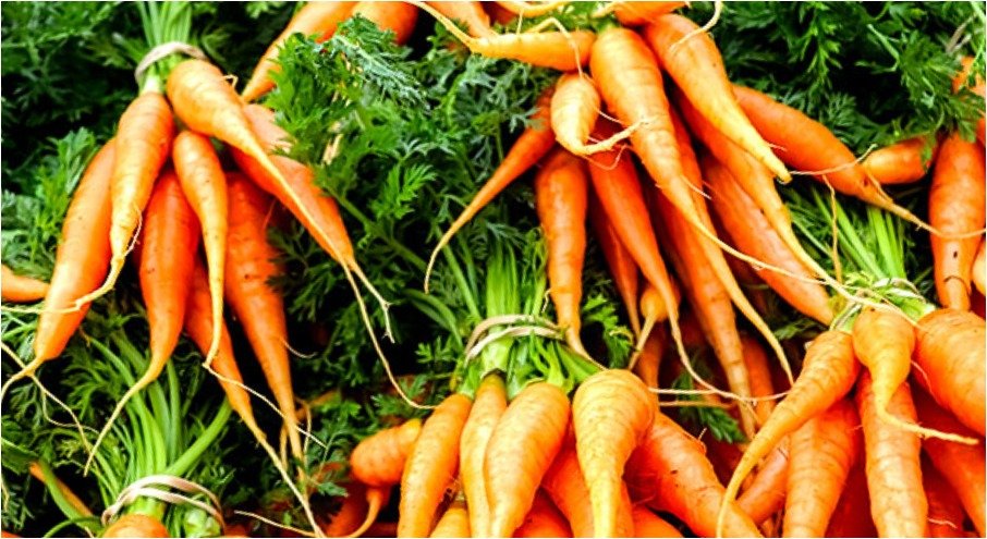 Healthy Food- Vegetable- carrot-