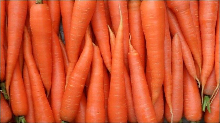 Healthy Food- Vegetable- carrot