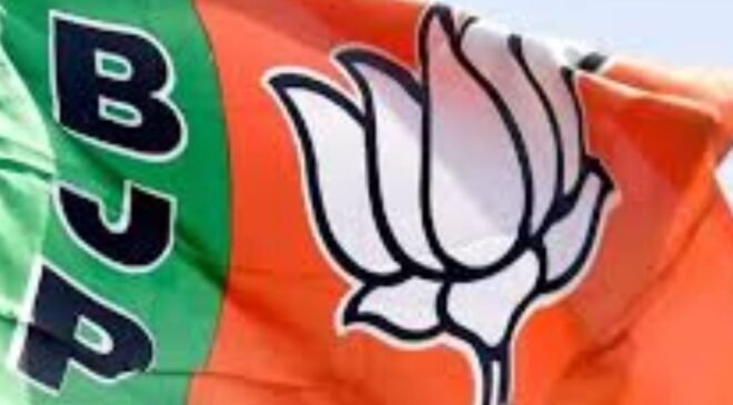 bjp - flag (1)
