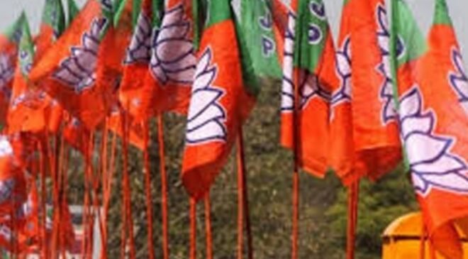 bjp - flag (2)