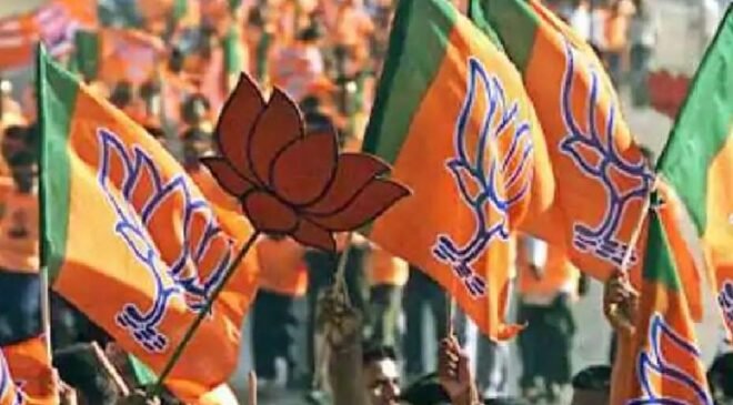 bjp - flag (5)