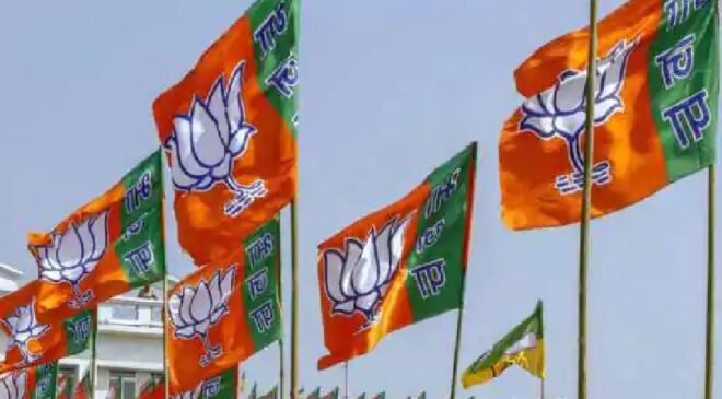 bjp - flag (6)