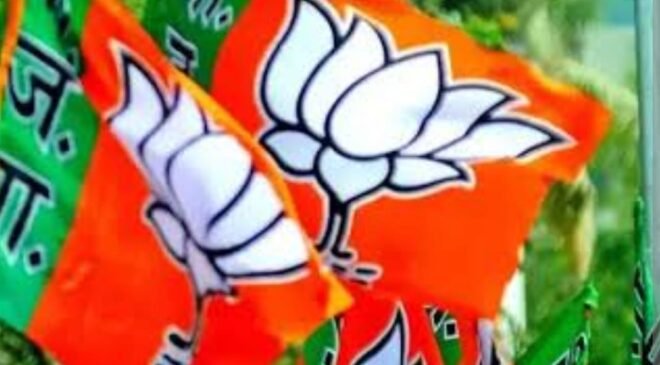 bjp - flag (7)