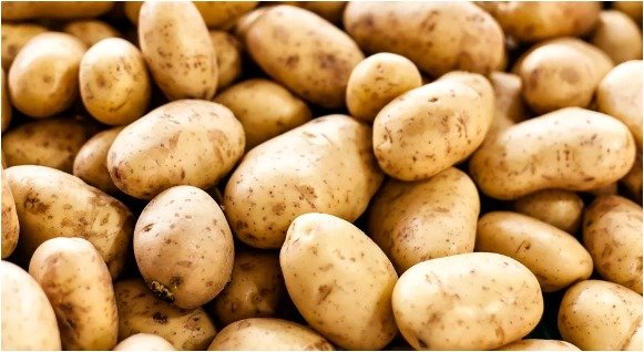 vegitable -Potato