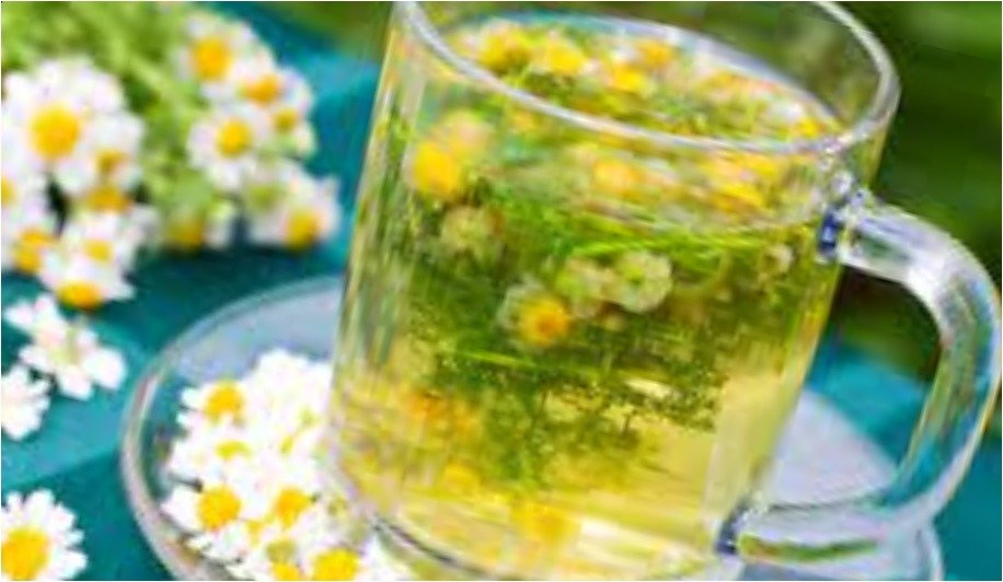 Health Tips - Ayurvedic medicine- Chamomile Tea 1