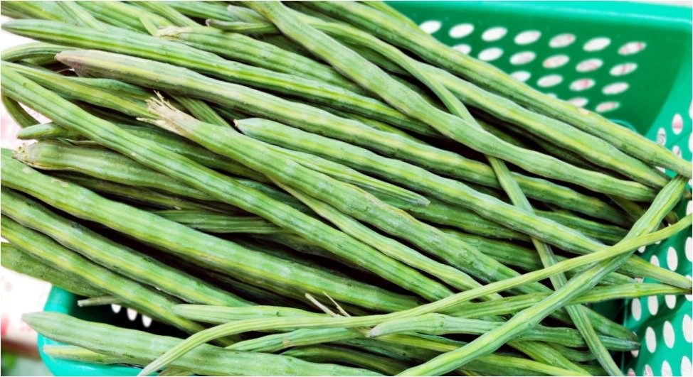 Health Tips - Ayurvedic medicine- Drumstick- Moringa oleifera 1