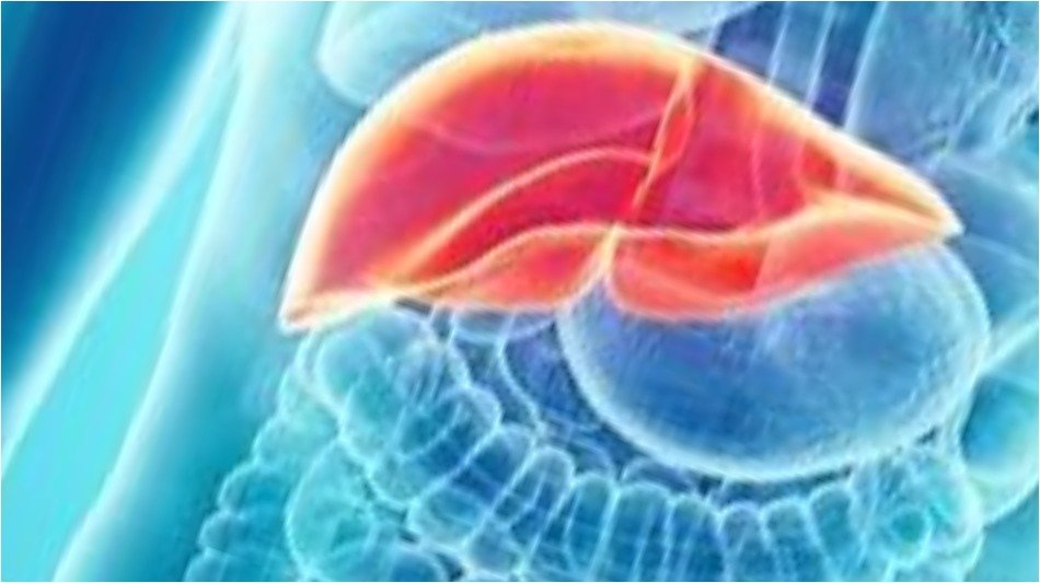 Health Tips - Liver 2