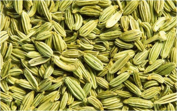 HealthTips _Ayurvedic medicine- Fennel seeds