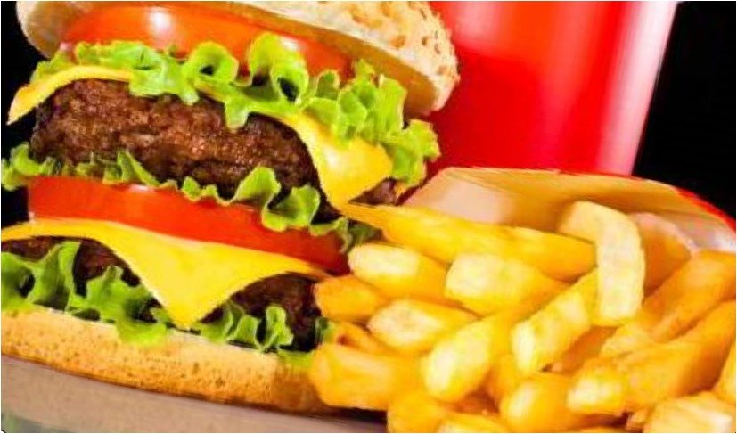 junk food burger 2