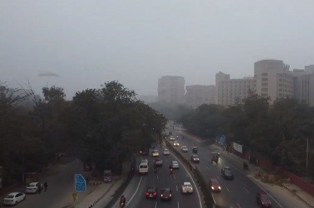 cold - fogg - Delhi 1