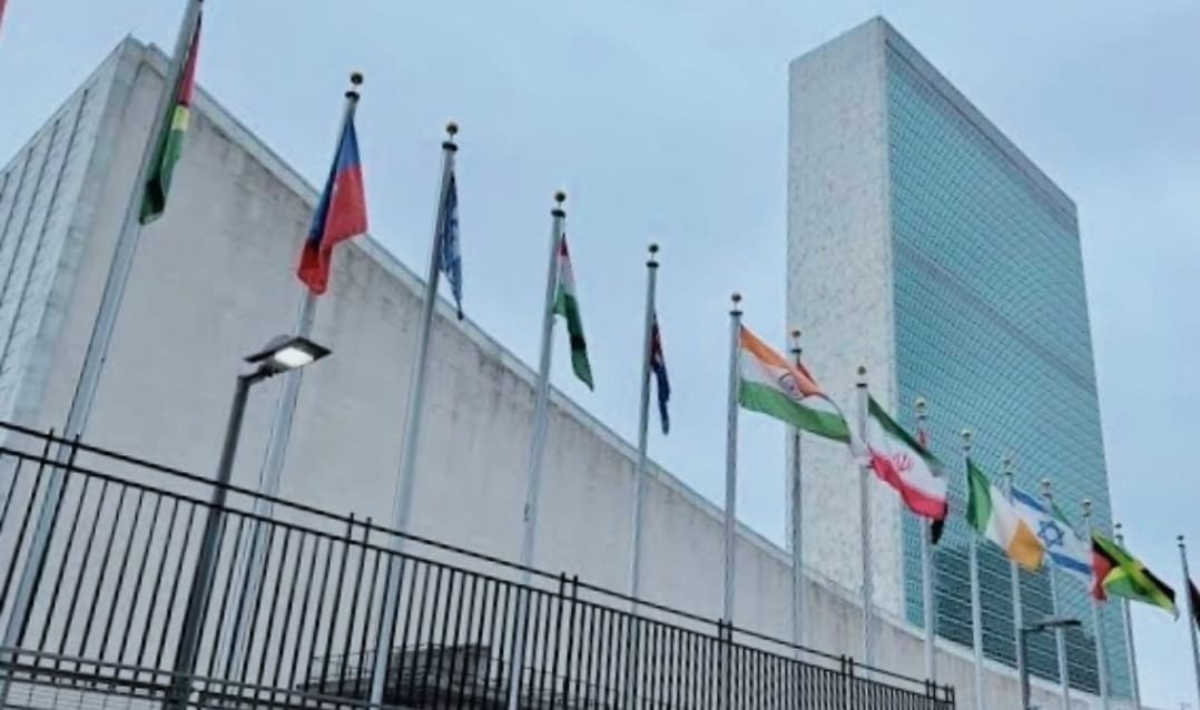 united nations organisation -UNO