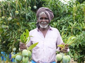 MANGO-GROWER-300x223-1