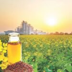oil-seeds-oil-seads