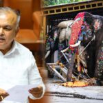 Ramalinga-Reddy-Dasara-Elephant